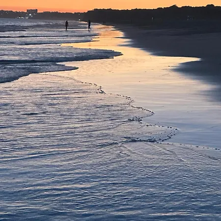 Solar Dos Pinheiros T3